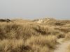Strand 7